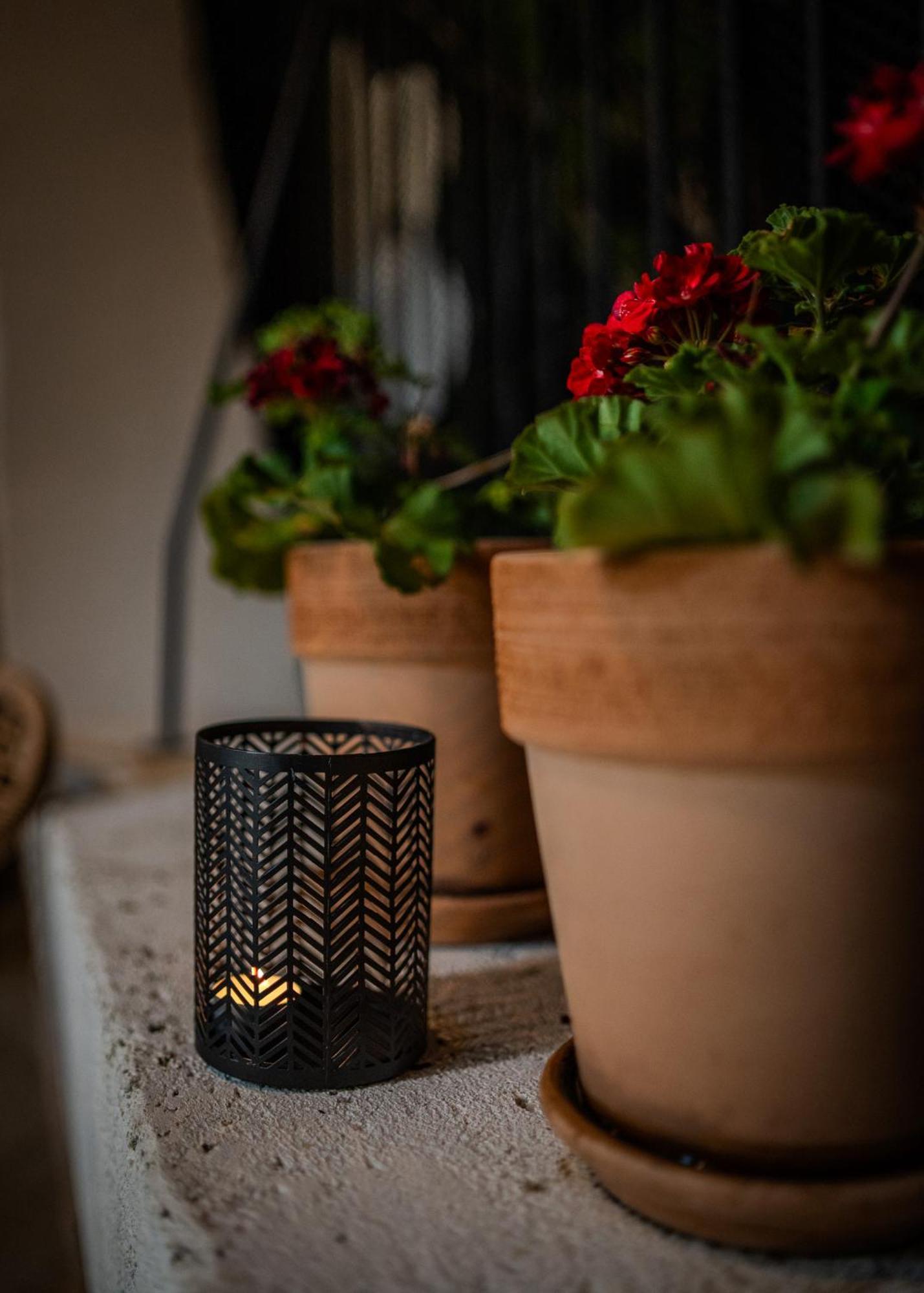 Amaro Luxury Room & Studio Apartman With Balcony Zadar Exterior foto